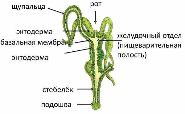 Как вернуть деньги с кракена